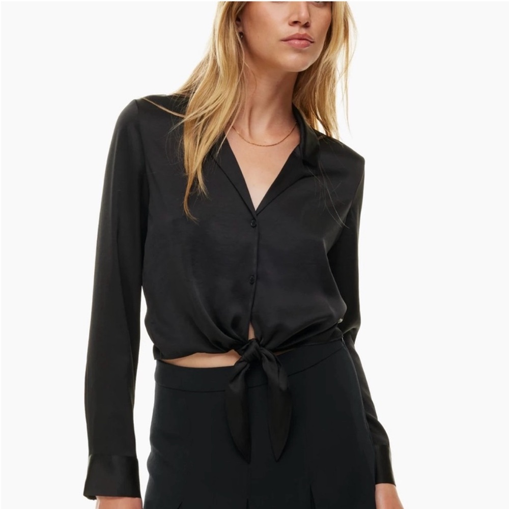 Wilfred Aritzia Satin Blouse
